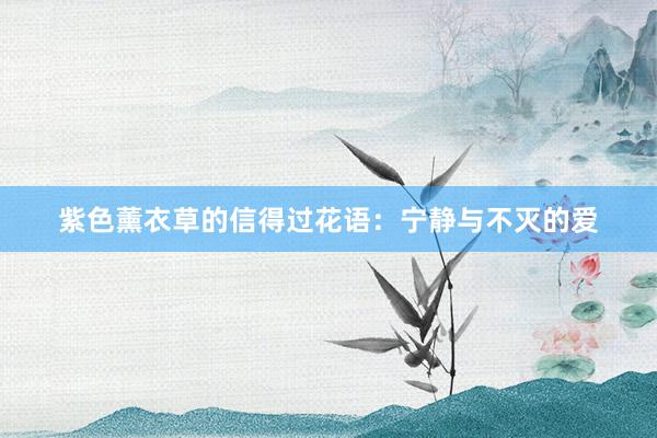 紫色薰衣草的信得过花语：宁静与不灭的爱